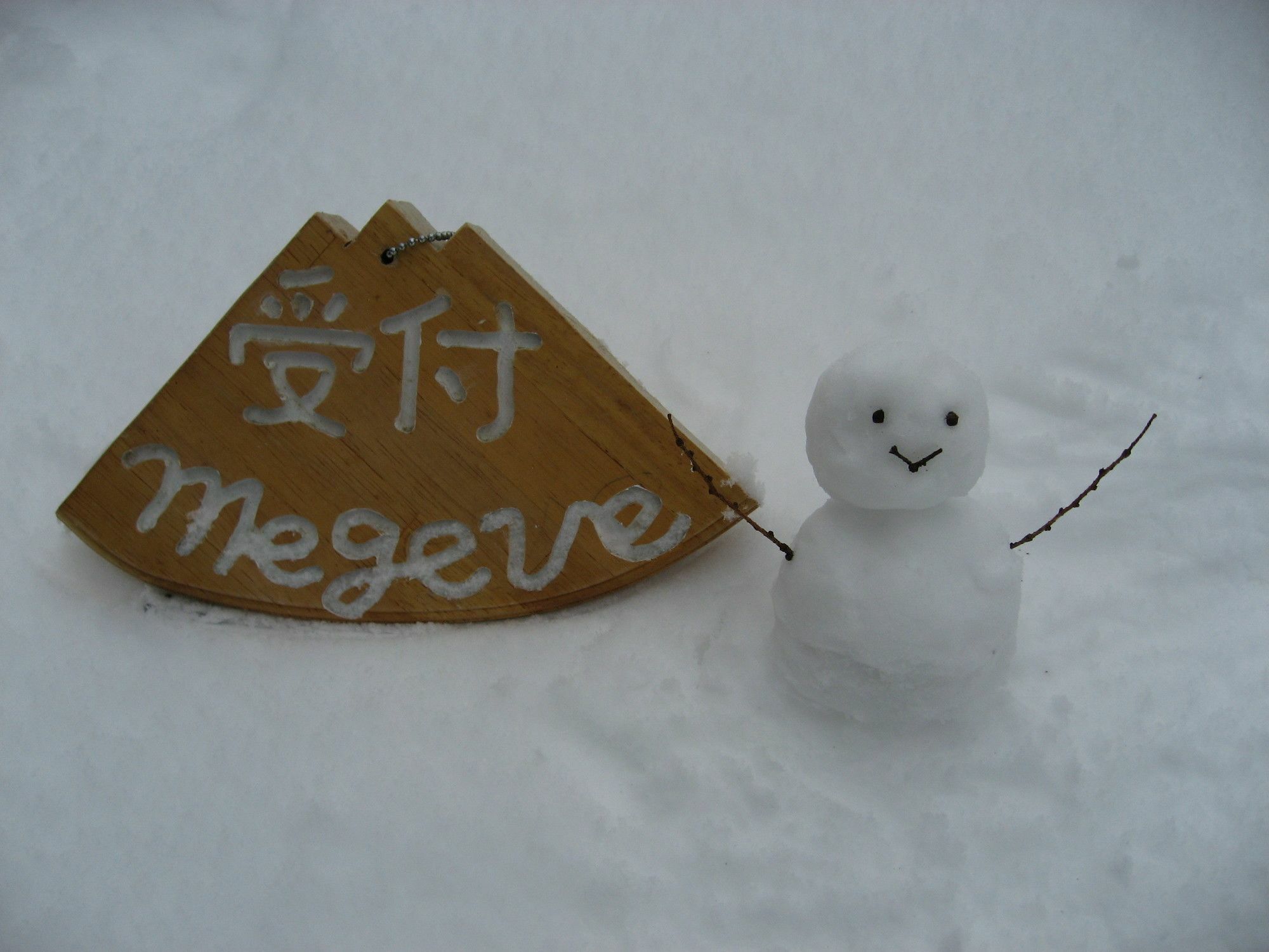 فيلا Hakuba Megeve المظهر الخارجي الصورة