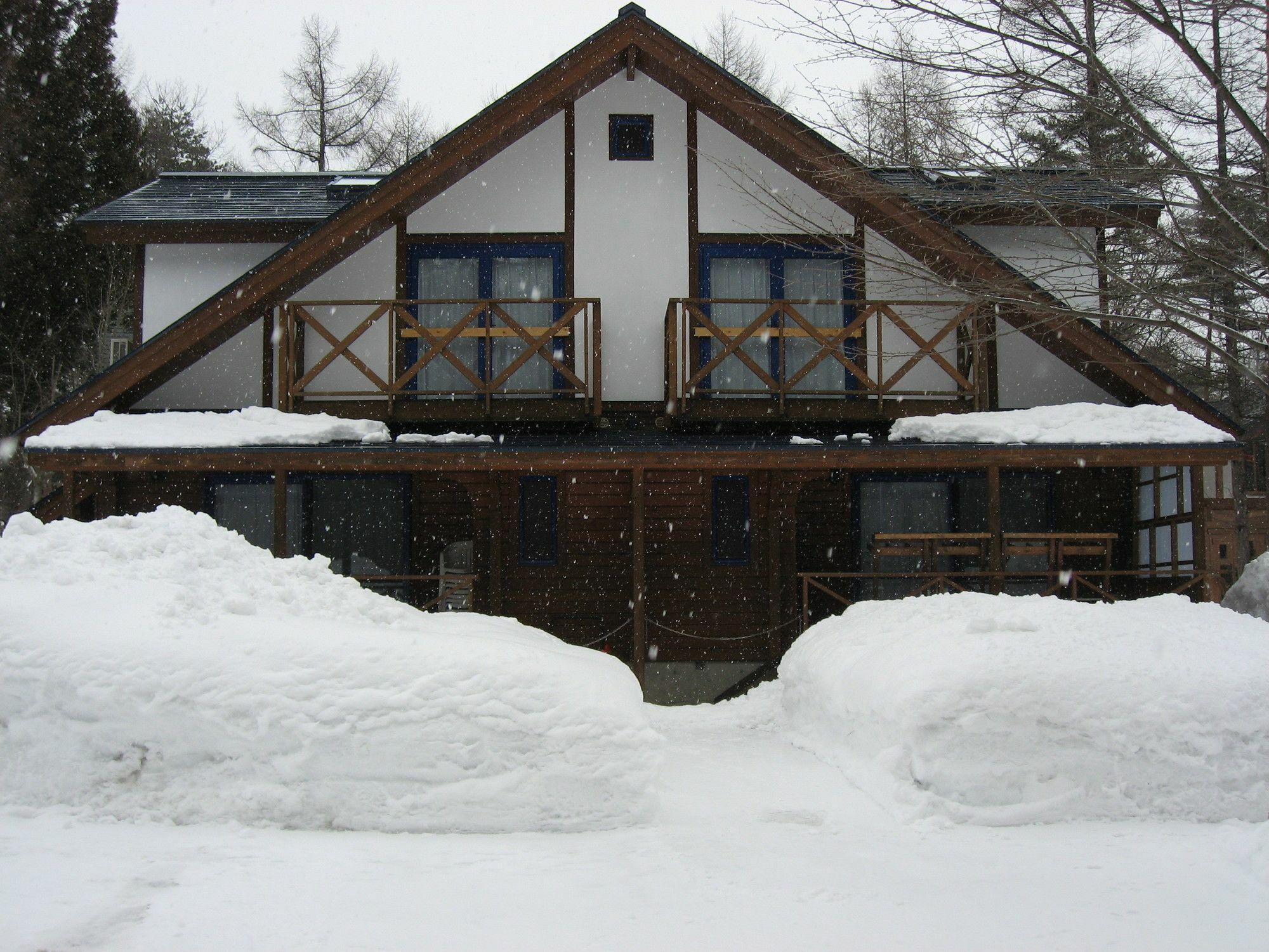 فيلا Hakuba Megeve المظهر الخارجي الصورة
