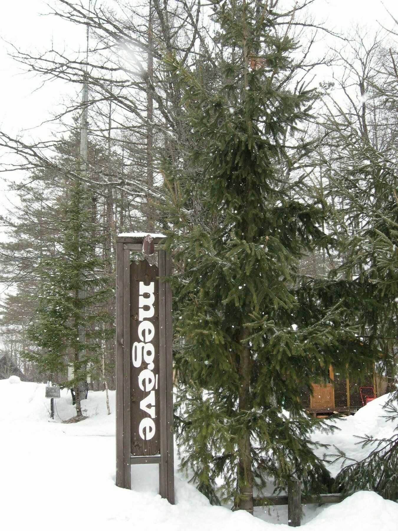 فيلا Hakuba Megeve المظهر الخارجي الصورة