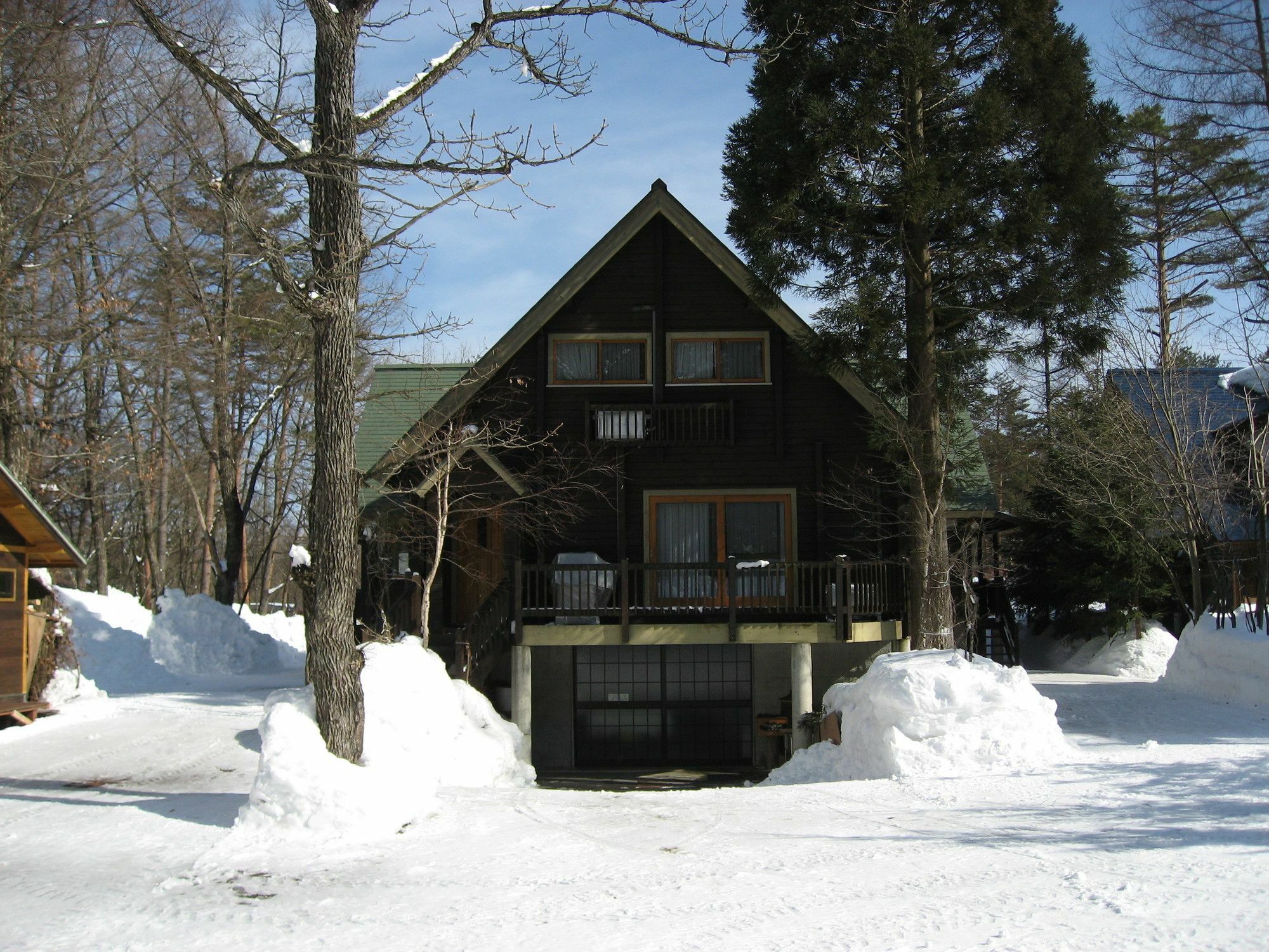 فيلا Hakuba Megeve المظهر الخارجي الصورة